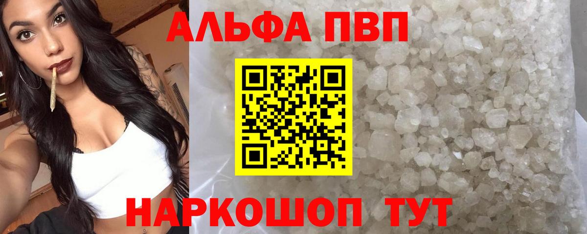 А ПВП СК Сунжа