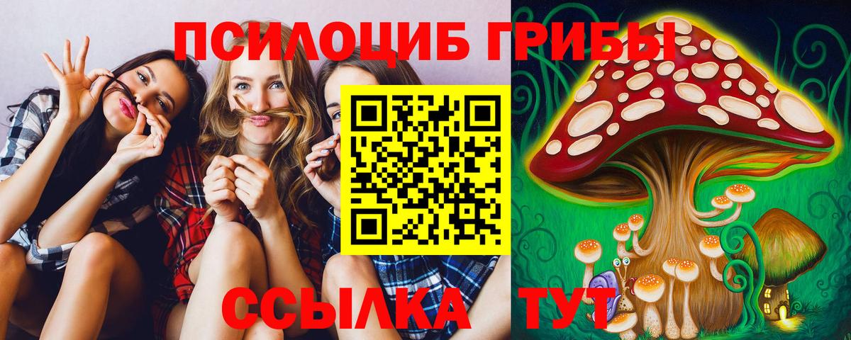 Галлюциногенные грибы Magic Shrooms Сунжа