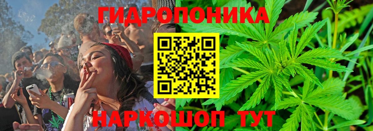Сунжа  Бошки марихуана OG Kush  Бошки марихуана планчик  Шишки марихуана White Widow  Вход с VPN 